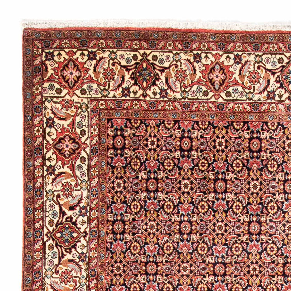 Tapis persan - Bidjar - 297 x 202 cm - rouge clair