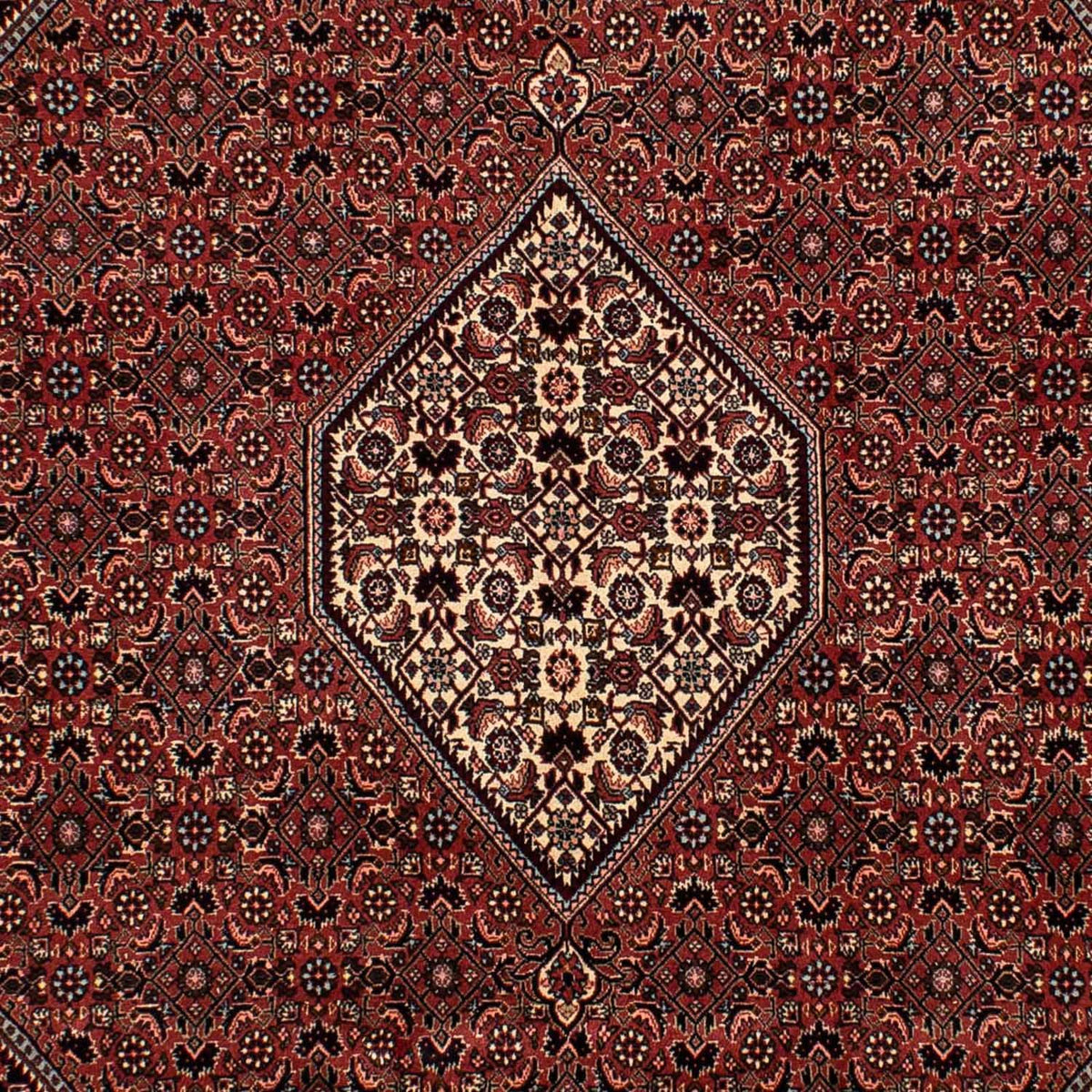 Tapis persan - Bidjar - 302 x 198 cm - rouge foncé