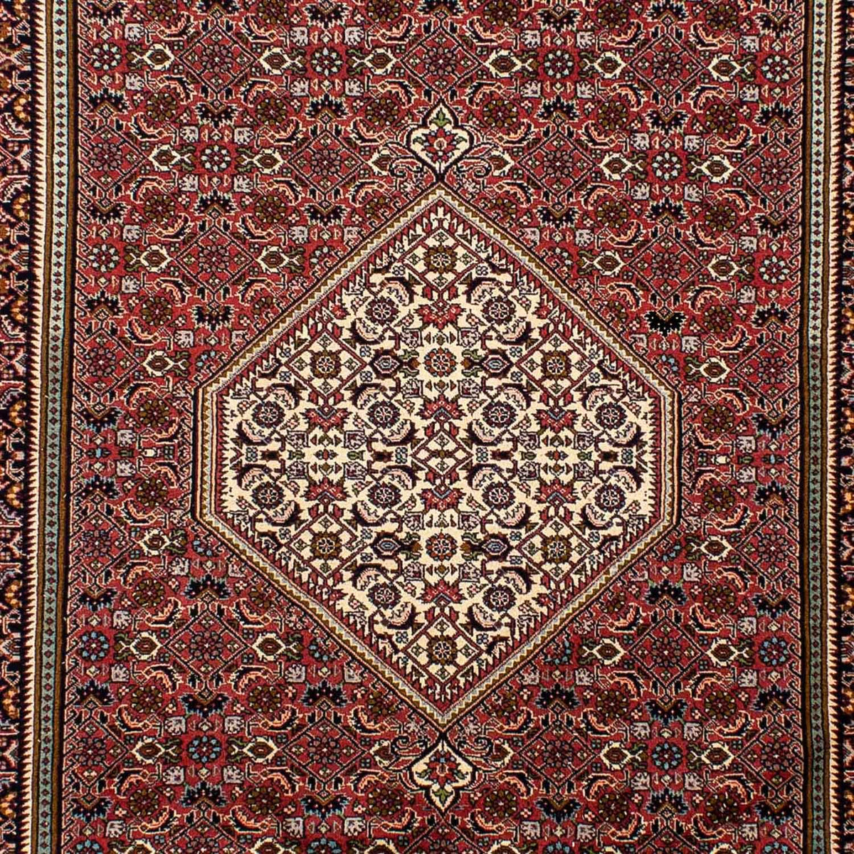 Tapis persan - Bidjar - 288 x 195 cm - rouge clair