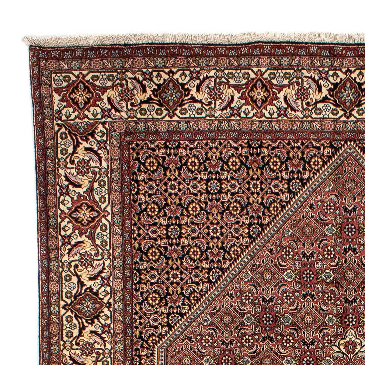 Tapis persan - Bidjar - 298 x 195 cm - marron