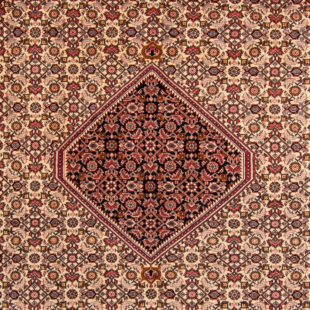 Tapis persan - Bidjar - 330 x 247 cm - rouge clair