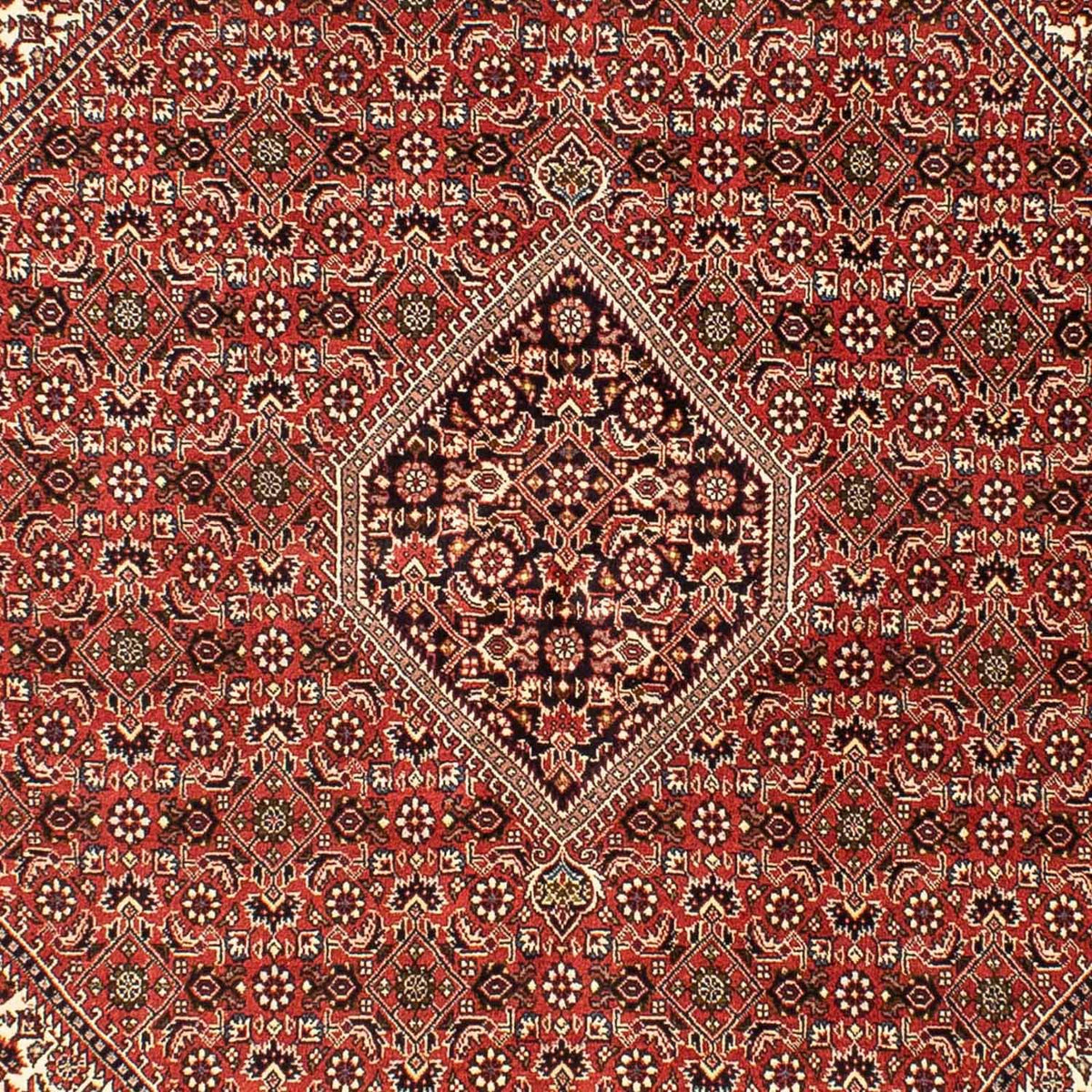 Tapis persan - Bidjar - 242 x 173 cm - rouge clair