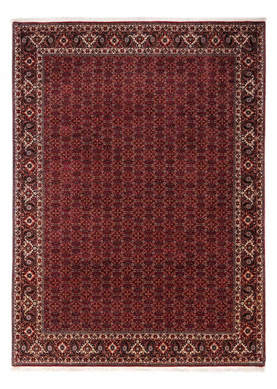 Bidjar - Zanjan Tapis 250x350cm - Tapis persan