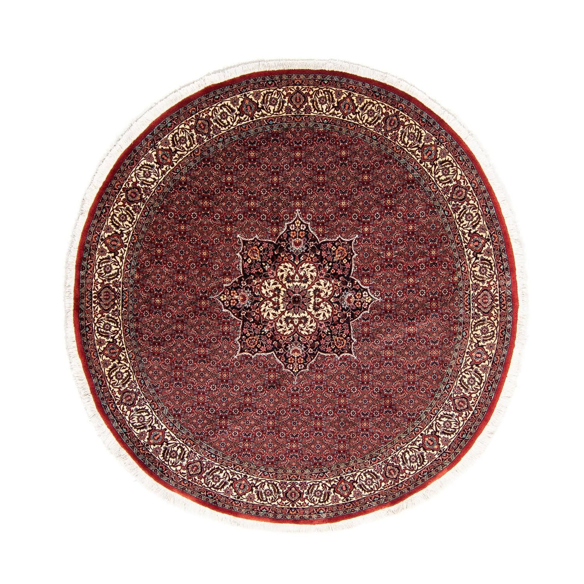 Tapis persan - Bidjar ronde  - 205 x 205 cm - rouge foncé