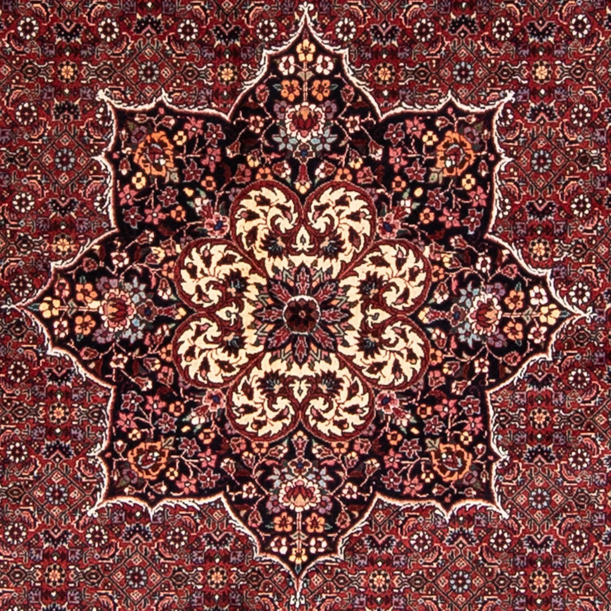 Tapis persan - Bidjar ronde  - 205 x 205 cm - rouge foncé