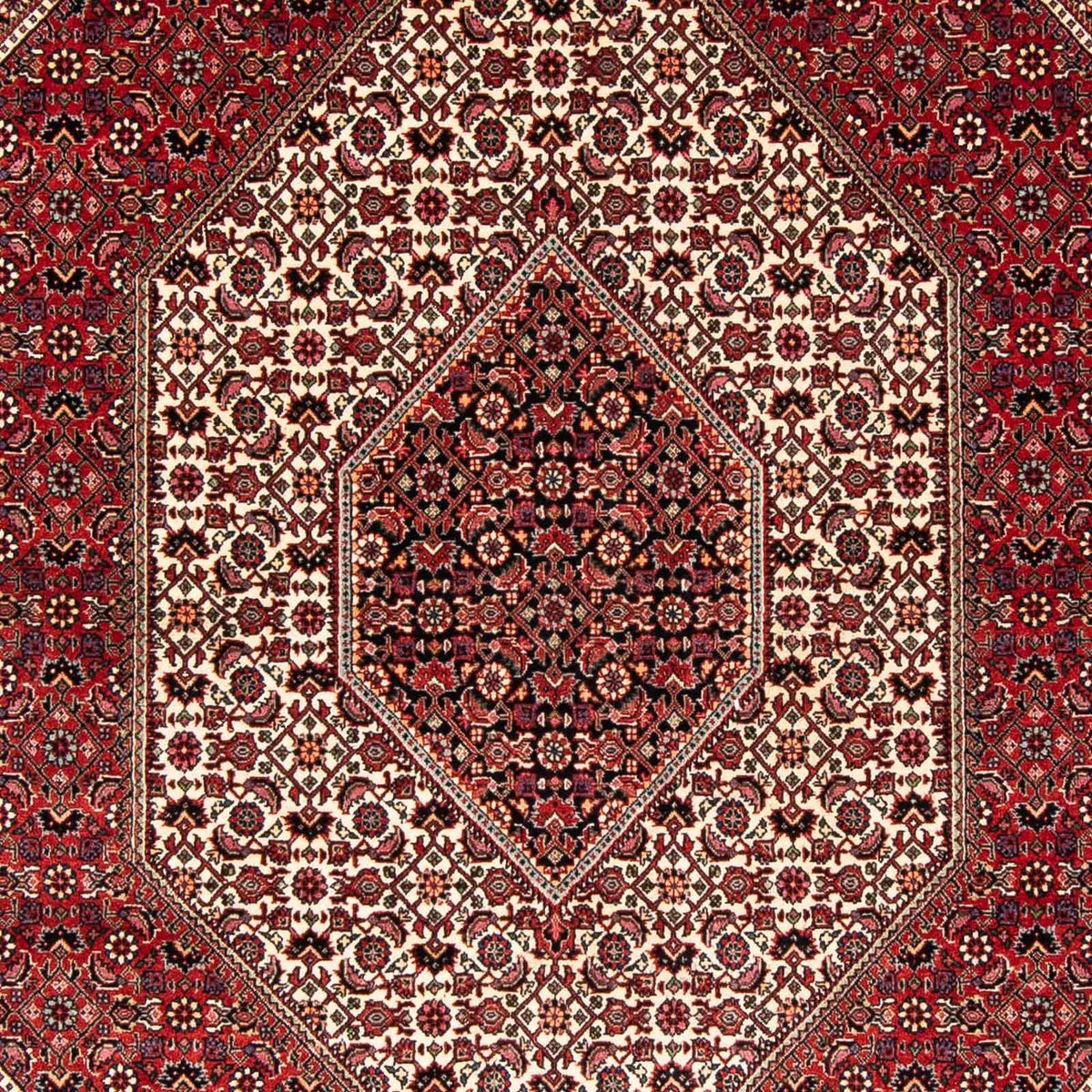 Tapis persan - Bidjar - 242 x 170 cm - rouge
