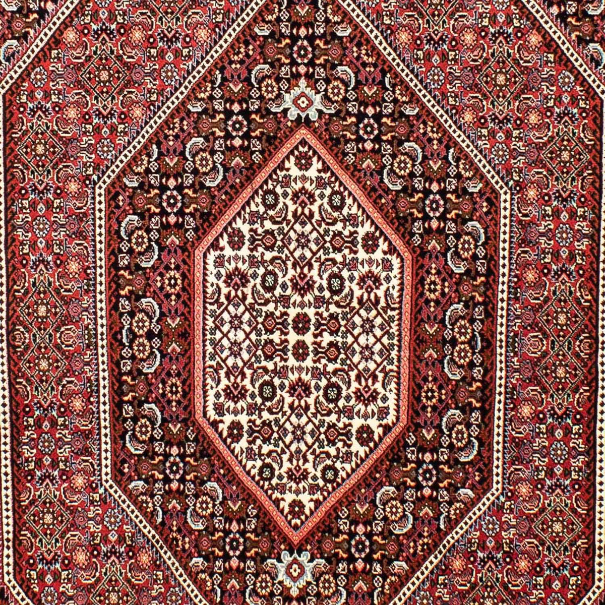 Tapis persan - Bidjar - 257 x 162 cm - rouge clair