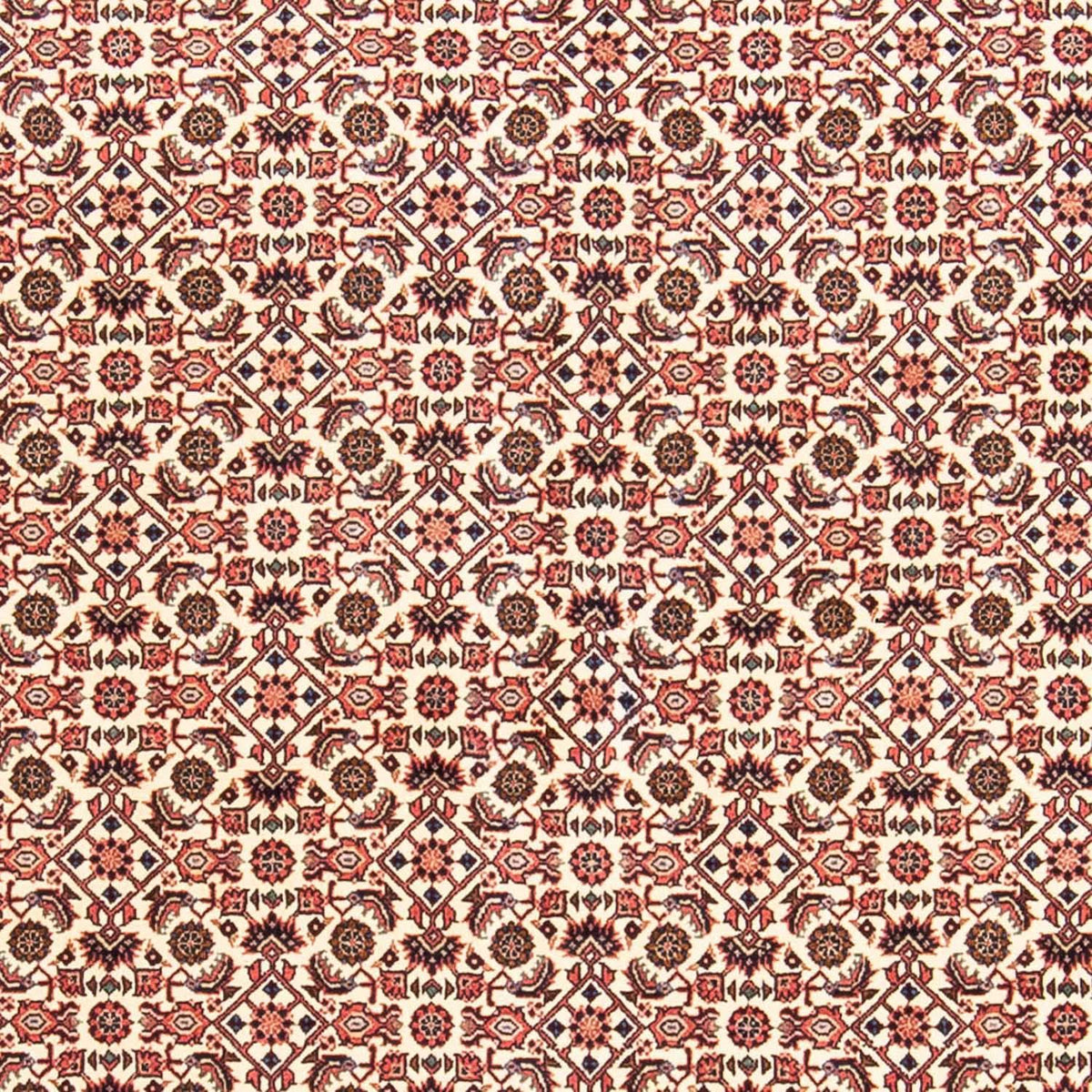 Tapis persan - Bidjar - 237 x 170 cm - rouge clair