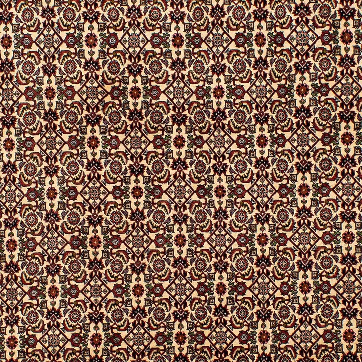 Tapis persan - Bidjar - 298 x 200 cm - beige