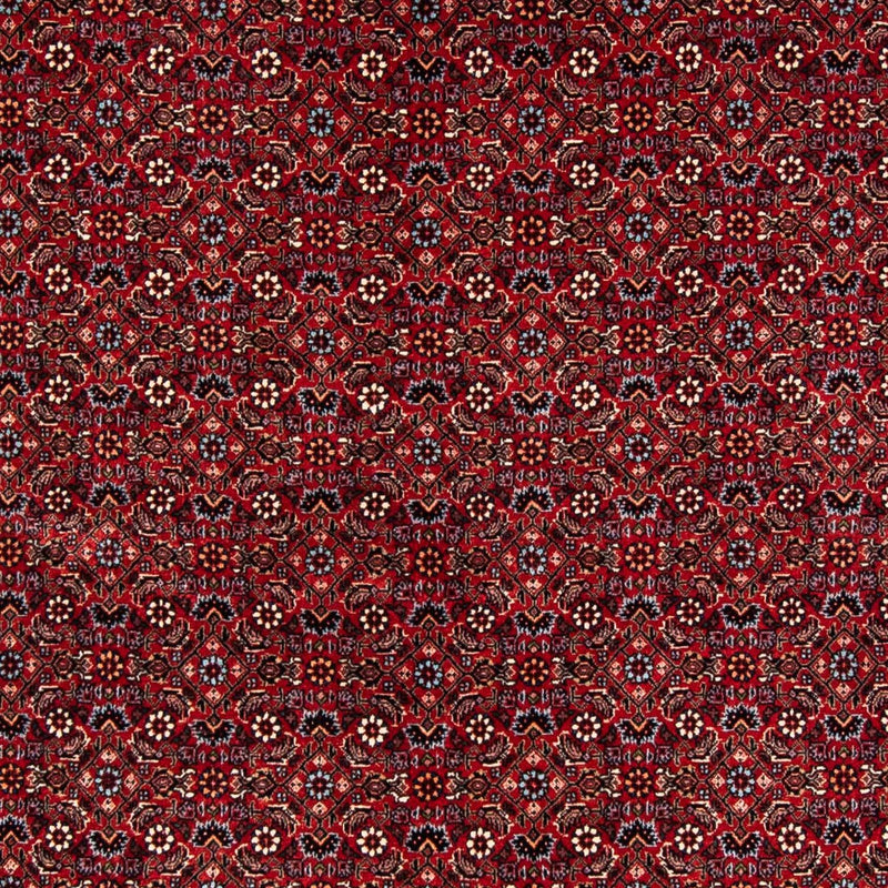 Tapis persan - Bidjar - 243 x 172 cm - rouge foncé