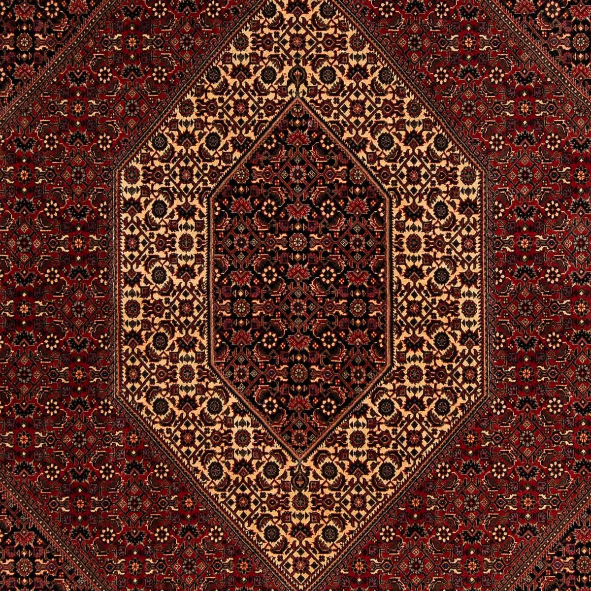 Tapis persan - Bidjar - 248 x 200 cm - rouge foncé