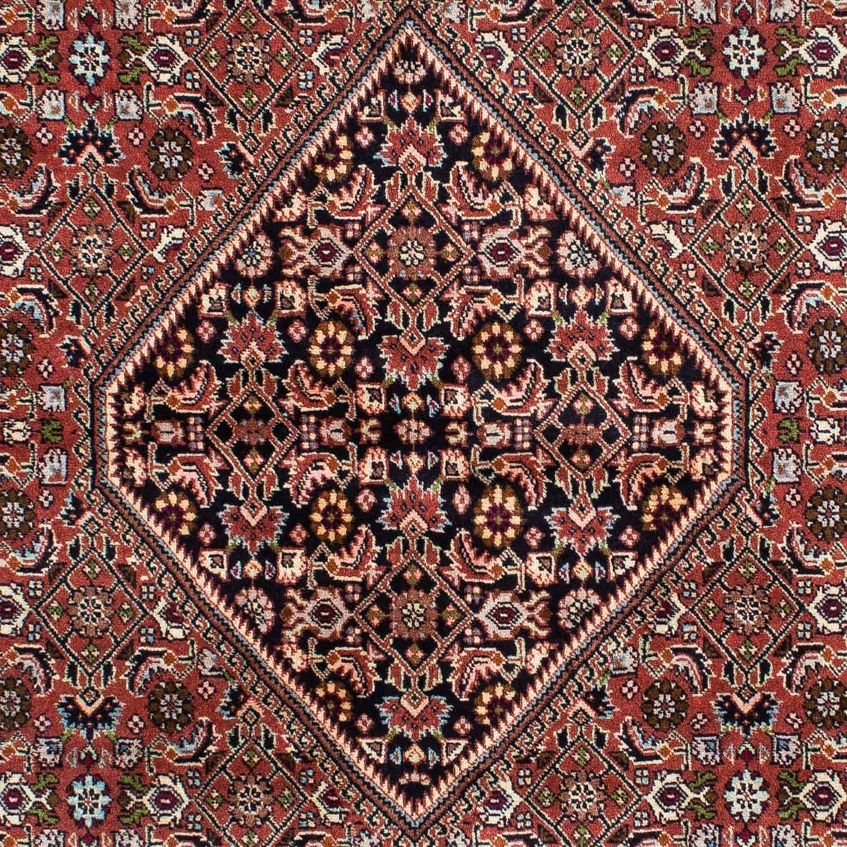 Tapis persan - Bidjar - 229 x 143 cm - rouge