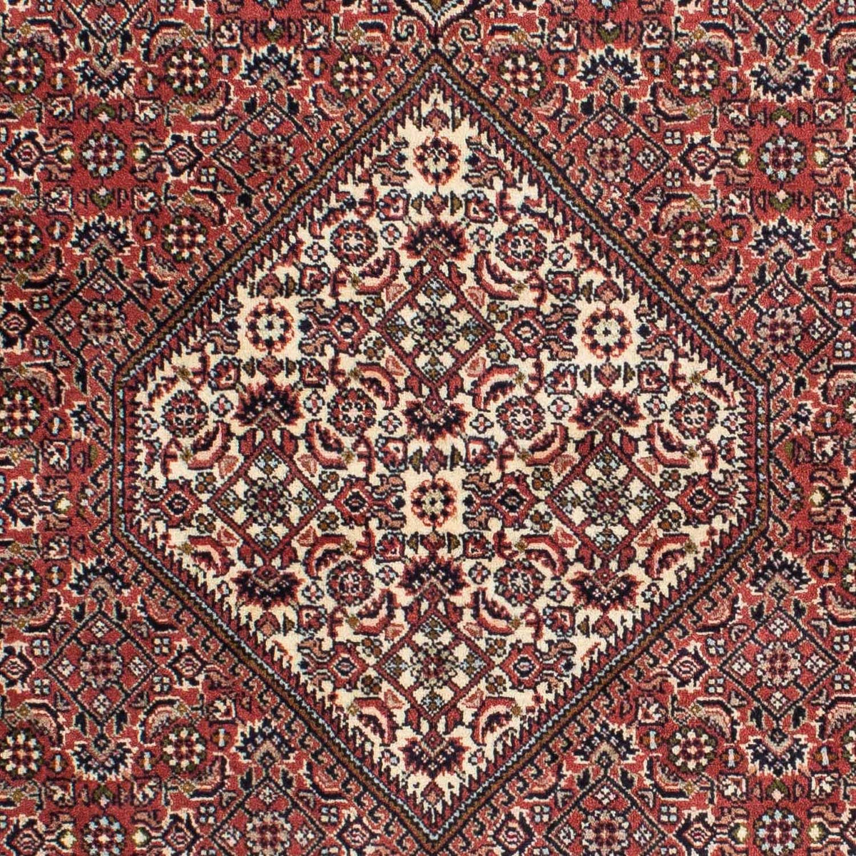 Tapis persan - Bidjar - 225 x 143 cm - rouge