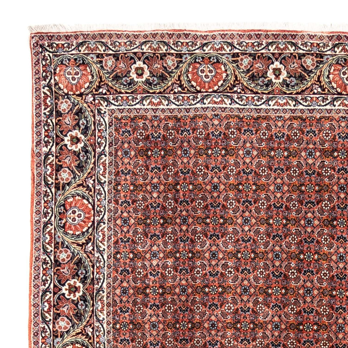 Tapis persan - Bidjar - 288 x 206 cm - rouge