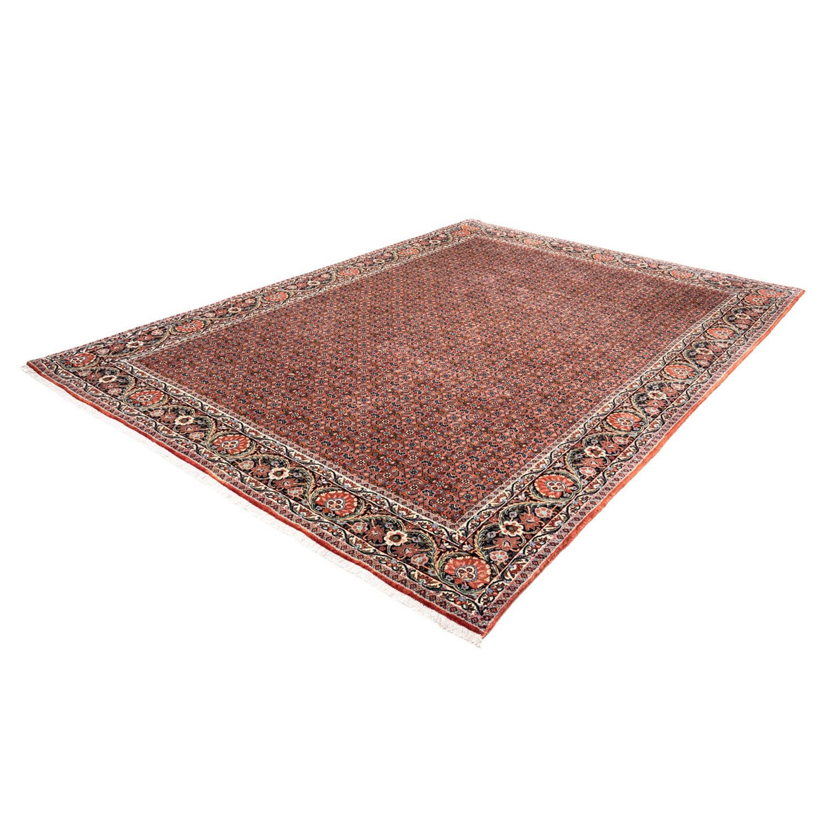 Tapis persan - Bidjar - 288 x 206 cm - rouge