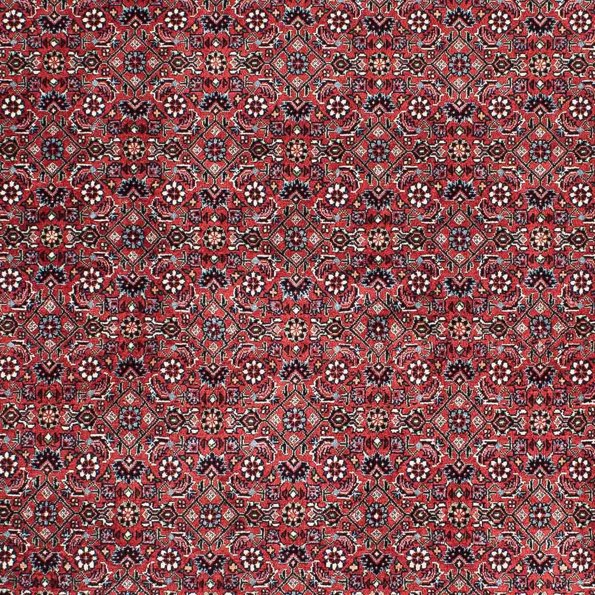 Tapis persan - Bidjar - 212 x 130 cm - rouge clair