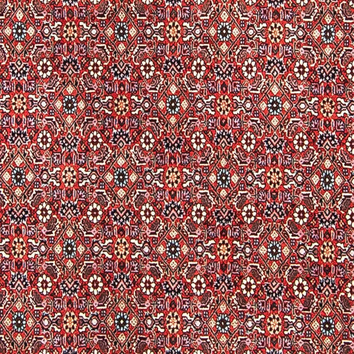 Tapis persan - Bidjar - 297 x 249 cm - rouge clair
