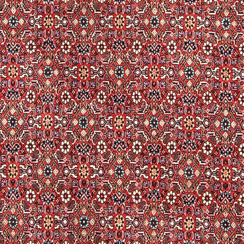 Tapis persan - Bidjar - 297 x 249 cm - rouge clair