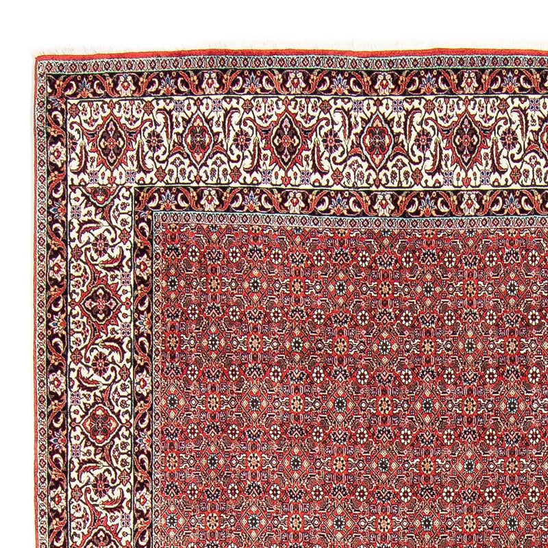 Tapis persan - Bidjar - 297 x 249 cm - rouge clair