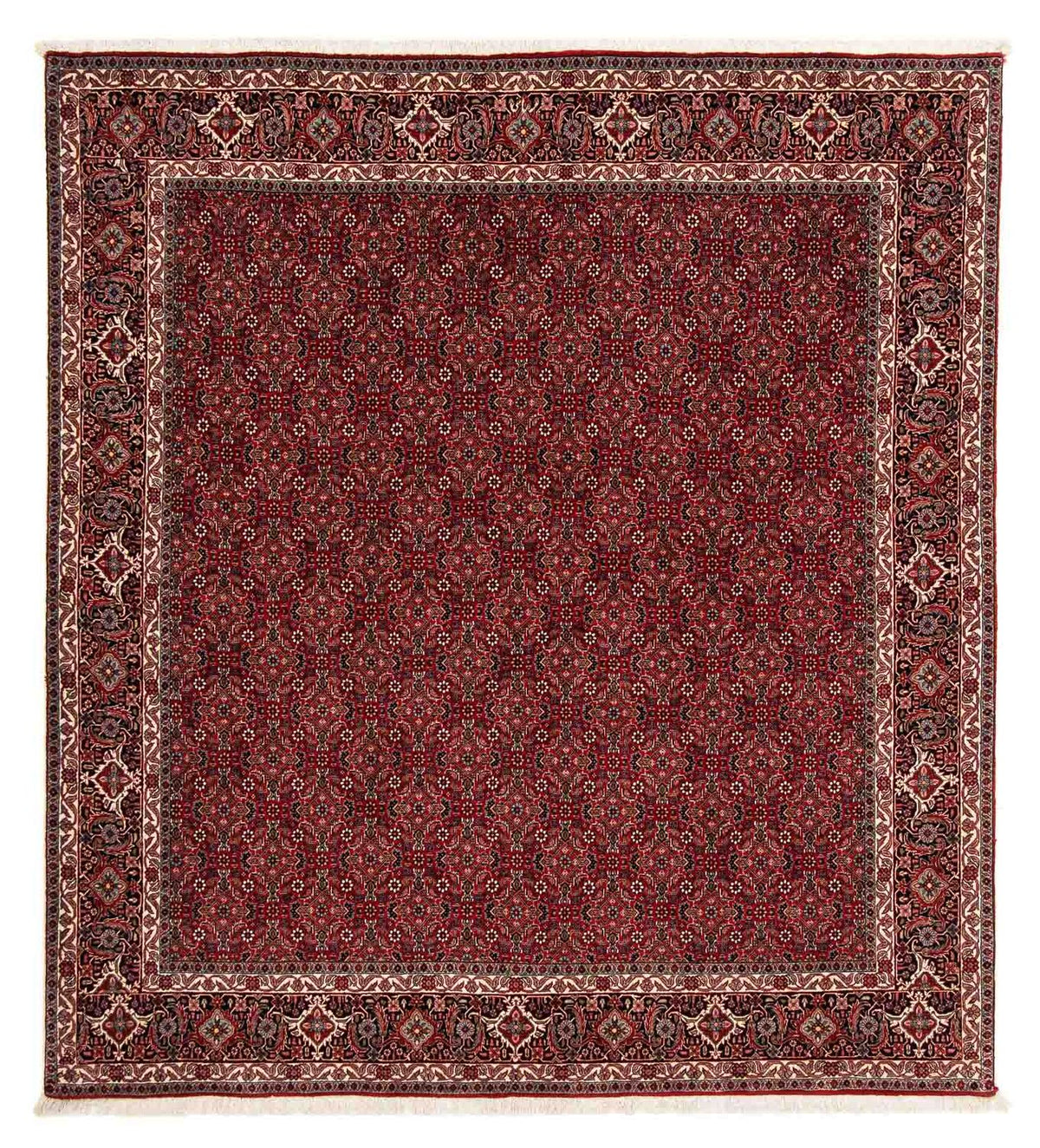 Tapis persan - Bidjar carré  - 212 x 206 cm - rouge foncé