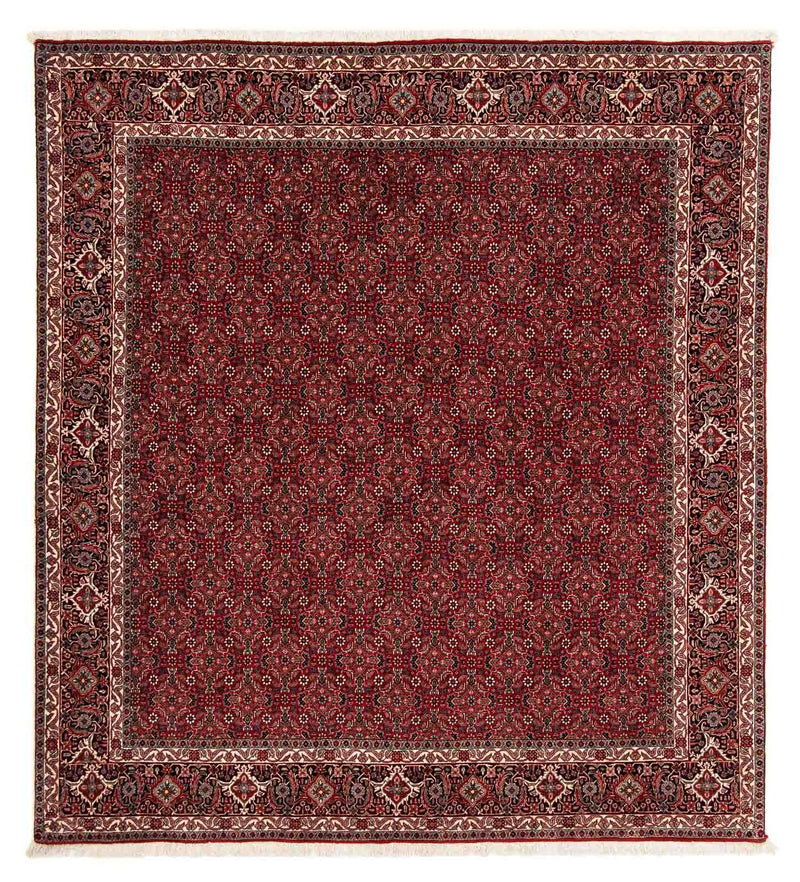 Tapis persan - Bidjar carré  - 212 x 206 cm - rouge foncé