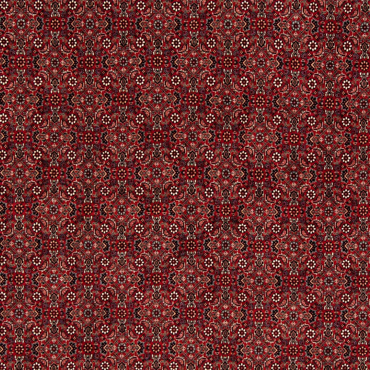 Tapis persan - Bidjar carré  - 212 x 206 cm - rouge foncé