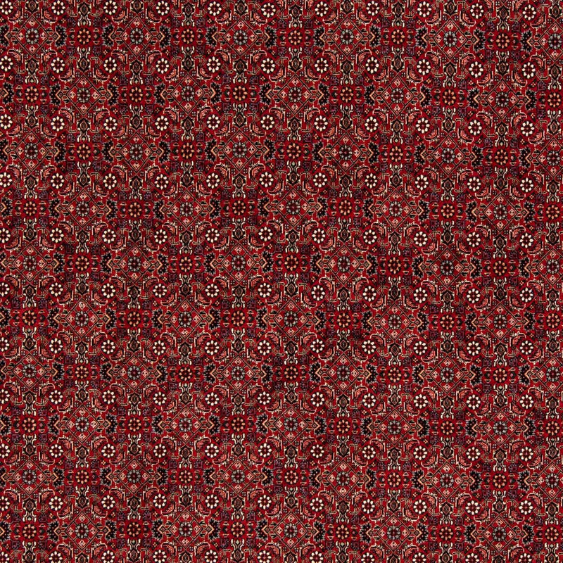 Tapis persan - Bidjar carré  - 212 x 206 cm - rouge foncé