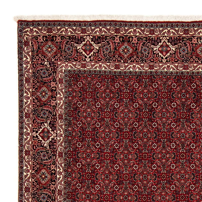 Tapis persan - Bidjar carré  - 212 x 206 cm - rouge foncé