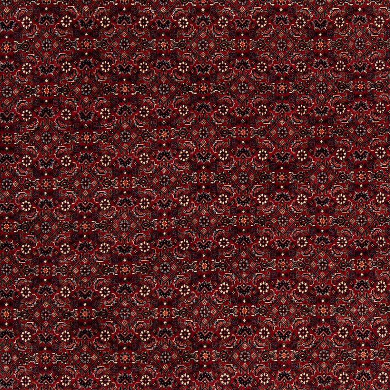 Tapis persan - Bidjar carré  - 212 x 205 cm - rouge foncé