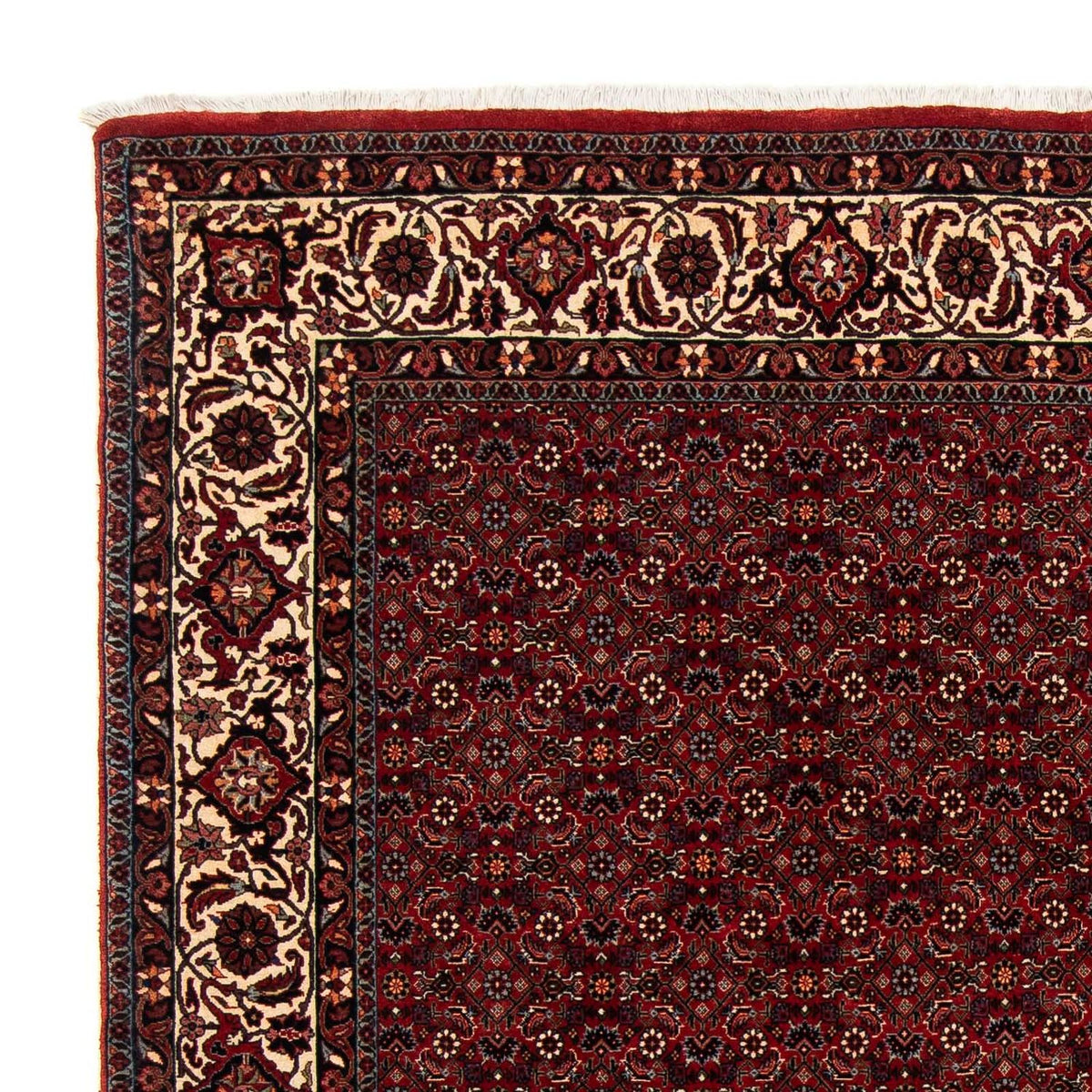 Tapis persan - Bidjar carré  - 212 x 205 cm - rouge foncé