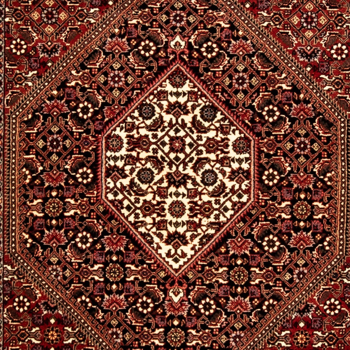 Tapis de couloir Tapis persan - Bidjar - 293 x 84 cm - multicolore