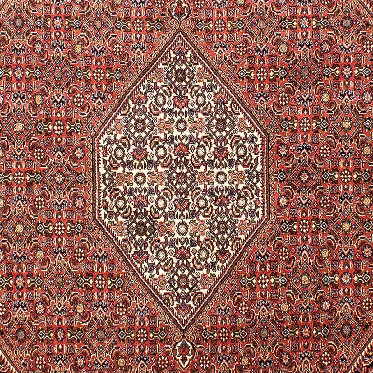 Tapis persan - Bidjar - 268 x 165 cm - rouge clair