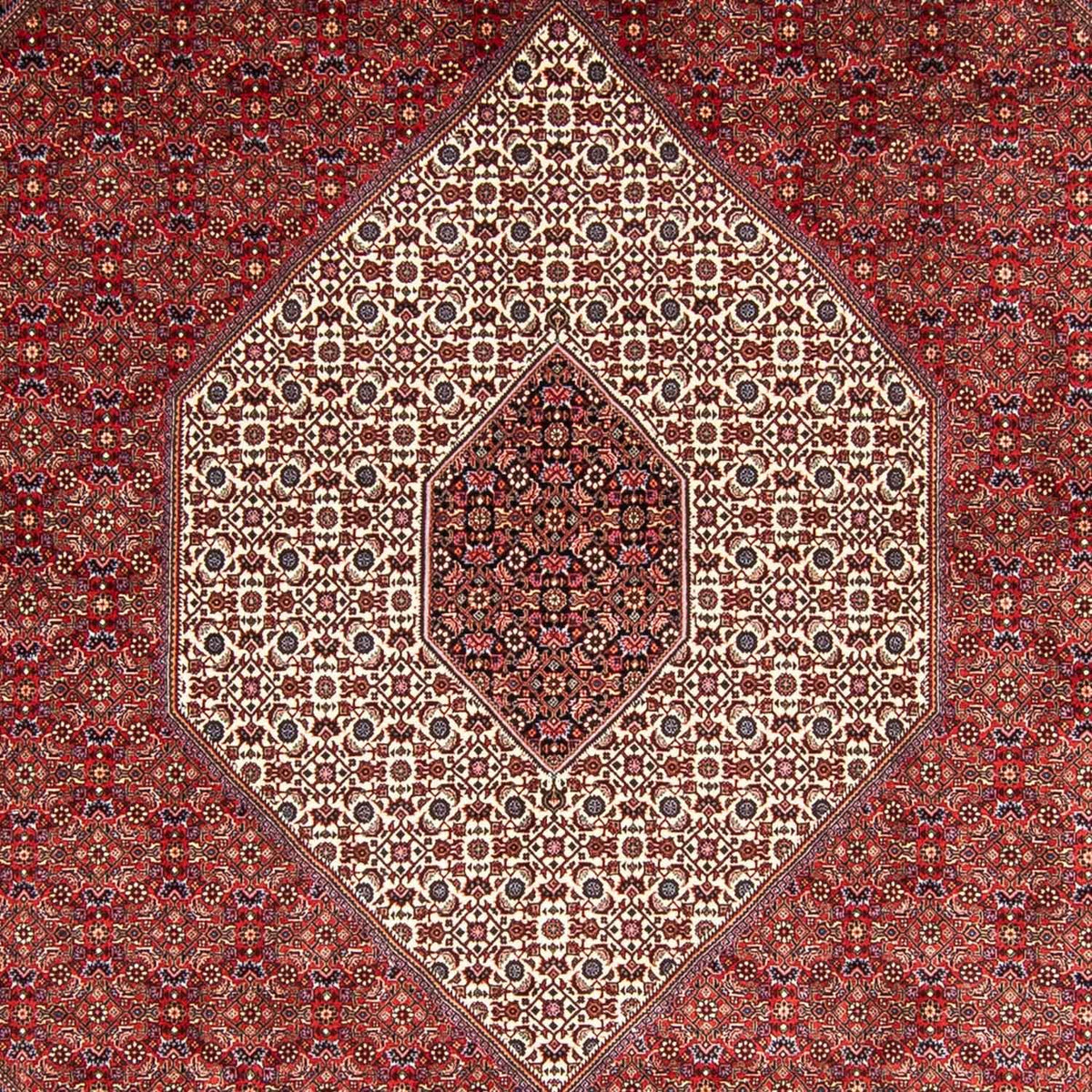 Tapis persan - Bidjar - 348 x 252 cm - rouge foncé