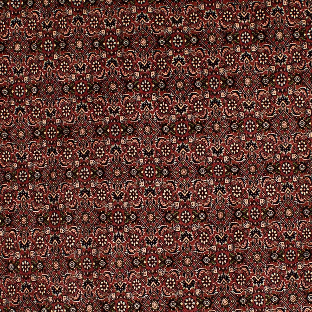 Tapis persan - Bidjar - 293 x 198 cm - marron