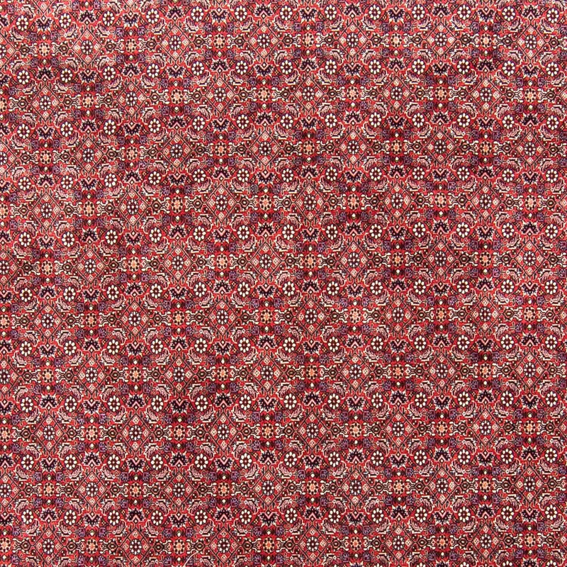 Tapis persan - Bidjar - 343 x 251 cm - rouge clair