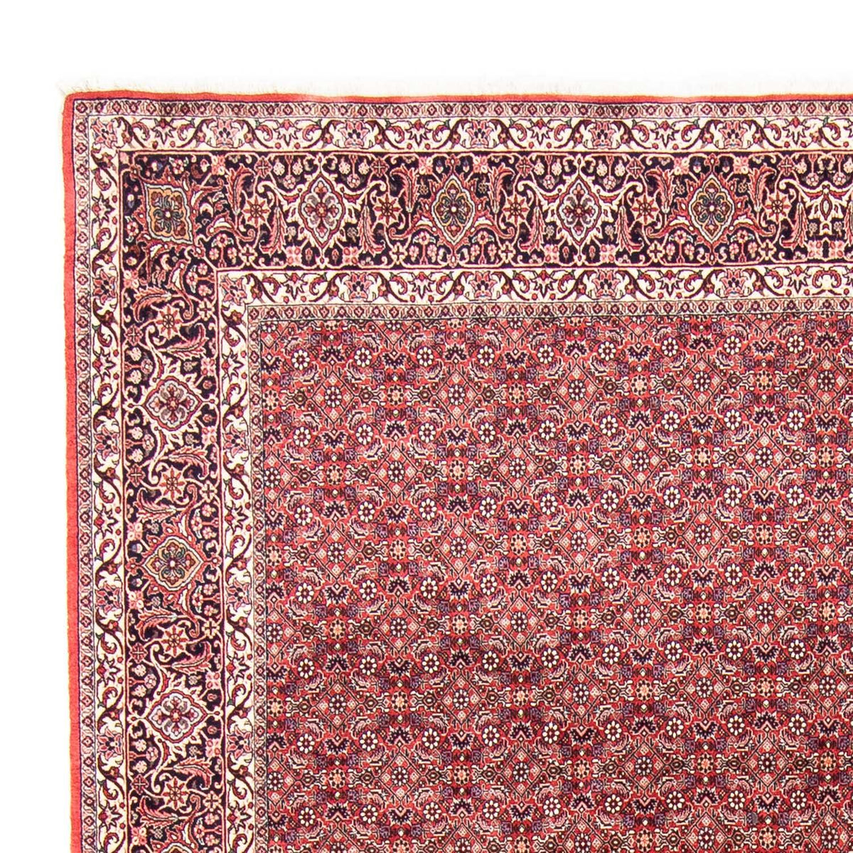 Tapis persan - Bidjar - 343 x 251 cm - rouge clair
