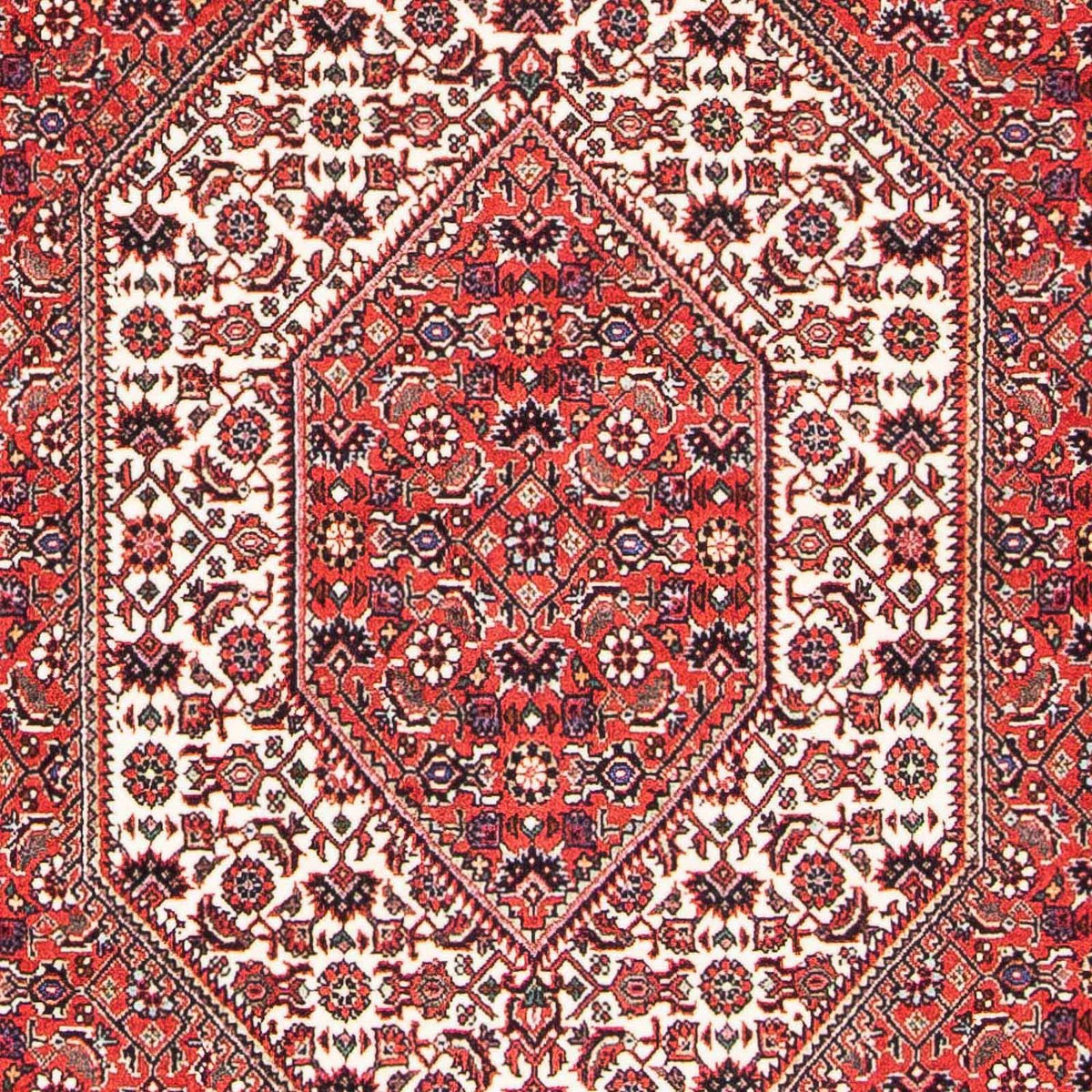 Tapis persan - Bidjar - 175 x 108 cm - rouge clair
