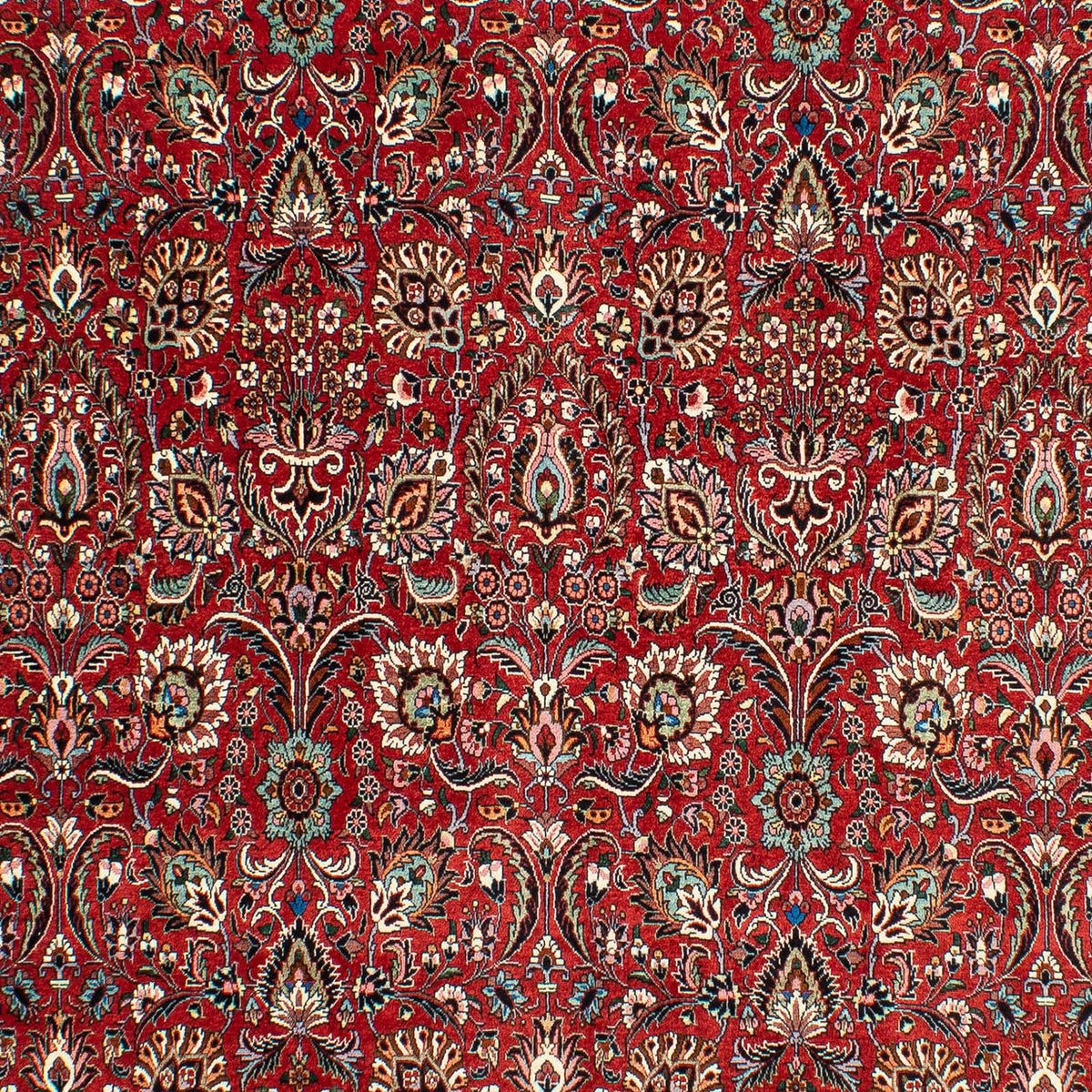 Tapis persan - Bidjar - 286 x 202 cm - rouge foncé
