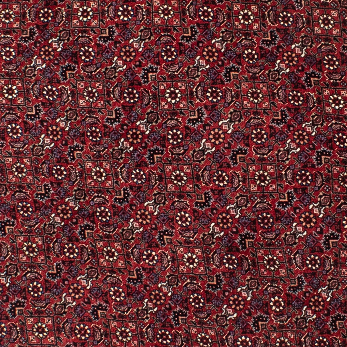 Tapis persan - Bidjar ronde - 150 x 150 cm - rouge foncé