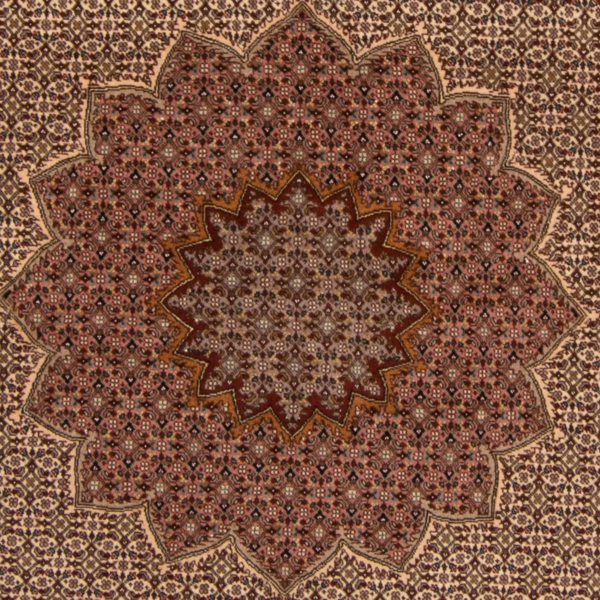 Tapis persan - Tabriz - Royal - 260 x 248 cm - marron