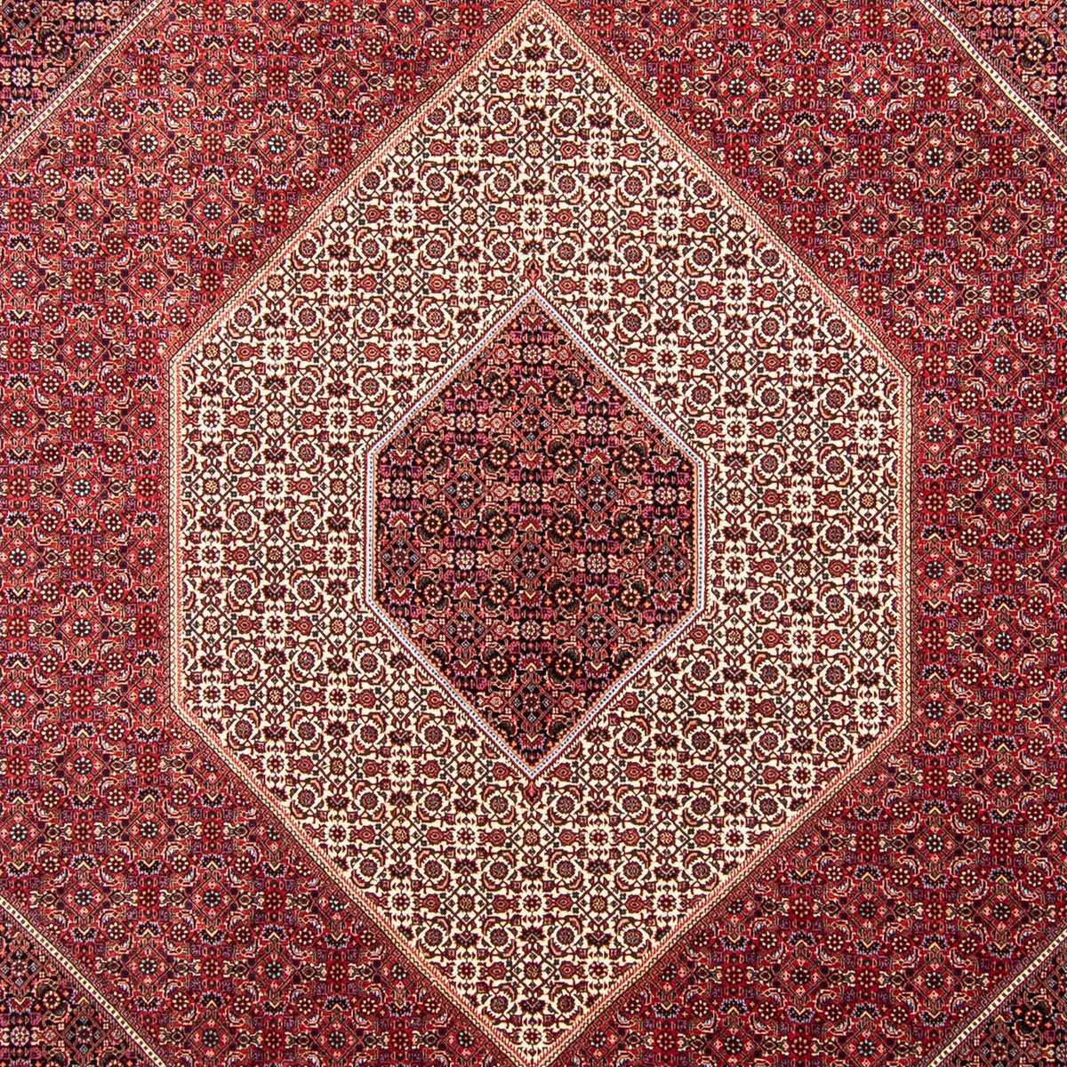 Tapis persan - Bidjar - 358 x 253 cm - rouge foncé
