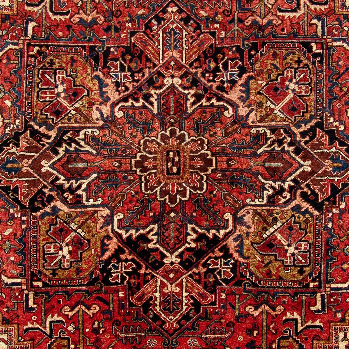 Tapis persan - Nomadic - 368 x 286 cm - rouge foncé