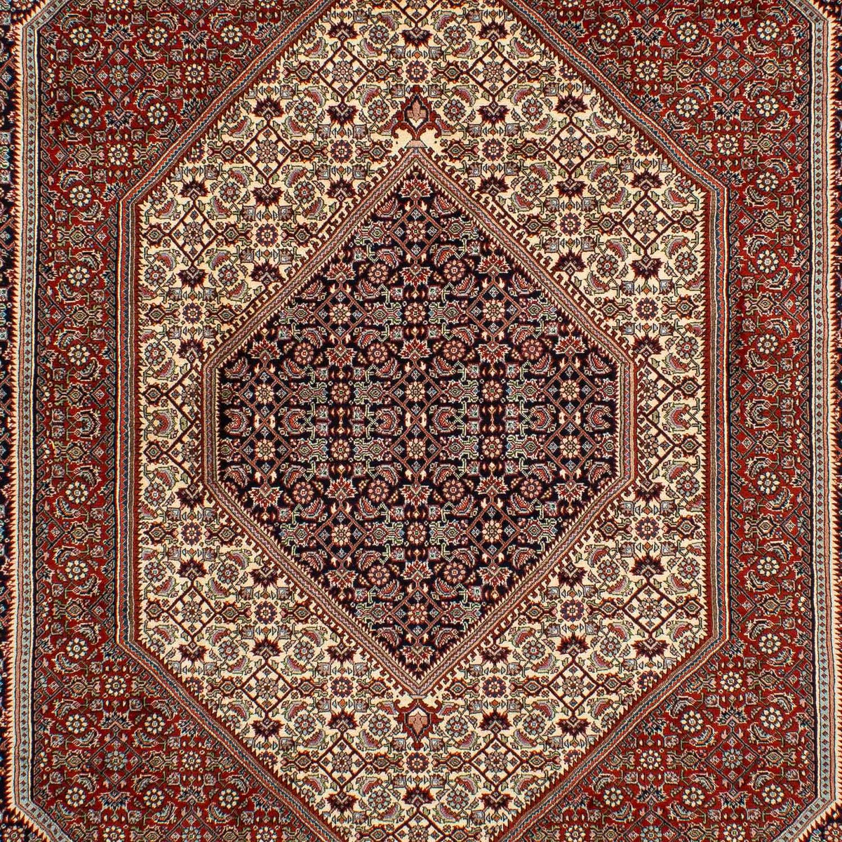 Tapis persan - Bidjar - 292 x 210 cm - multicolore