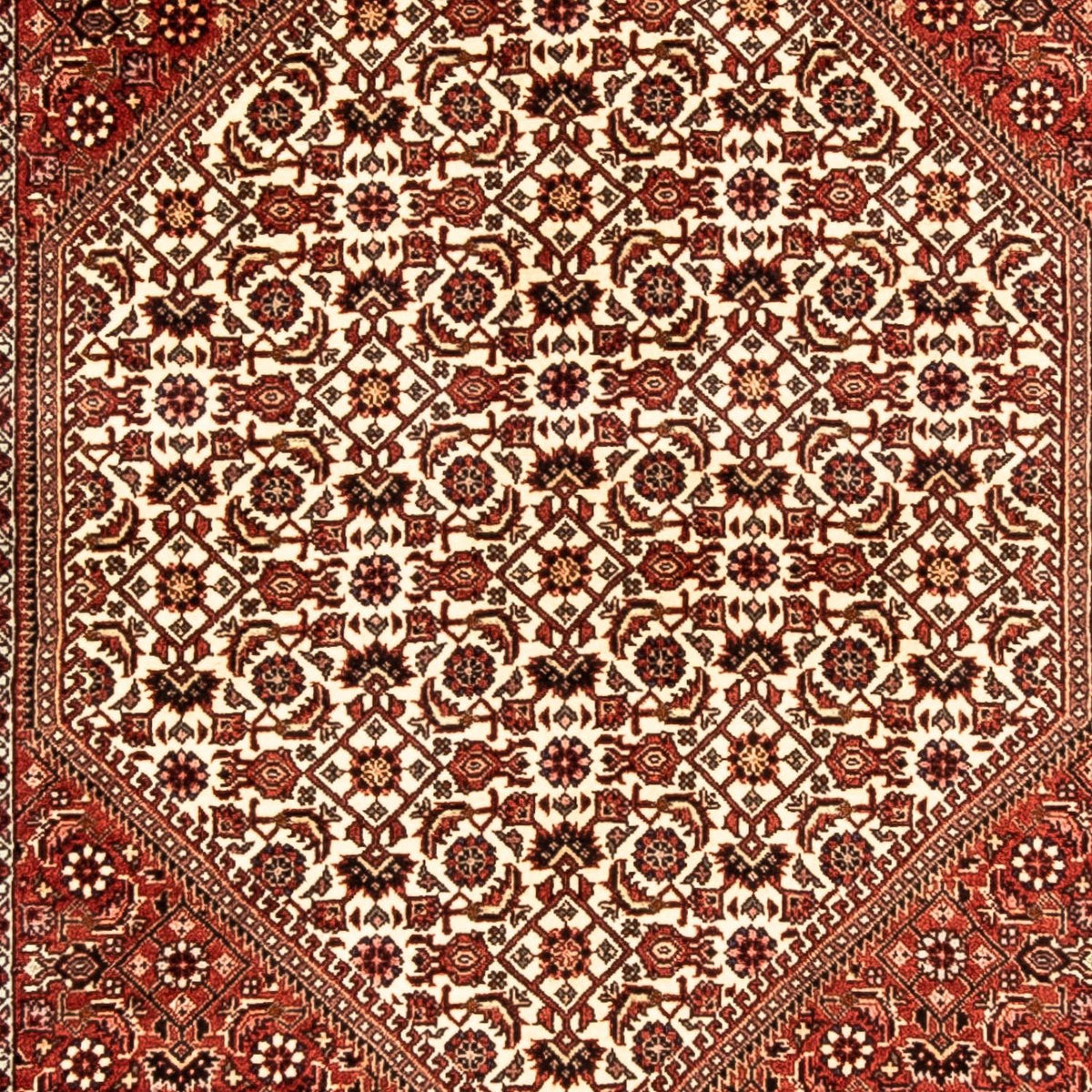 Tapis de couloir Tapis persan - Bidjar - 304 x 83 cm - multicolore