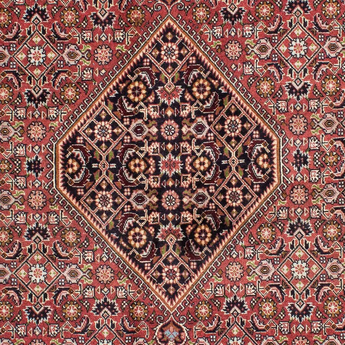 Tapis persan - Bidjar - 239 x 140 cm - rouge