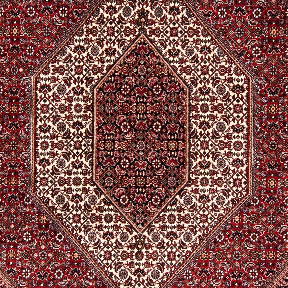 Tapis persan - Bidjar - 243 x 167 cm - rouge