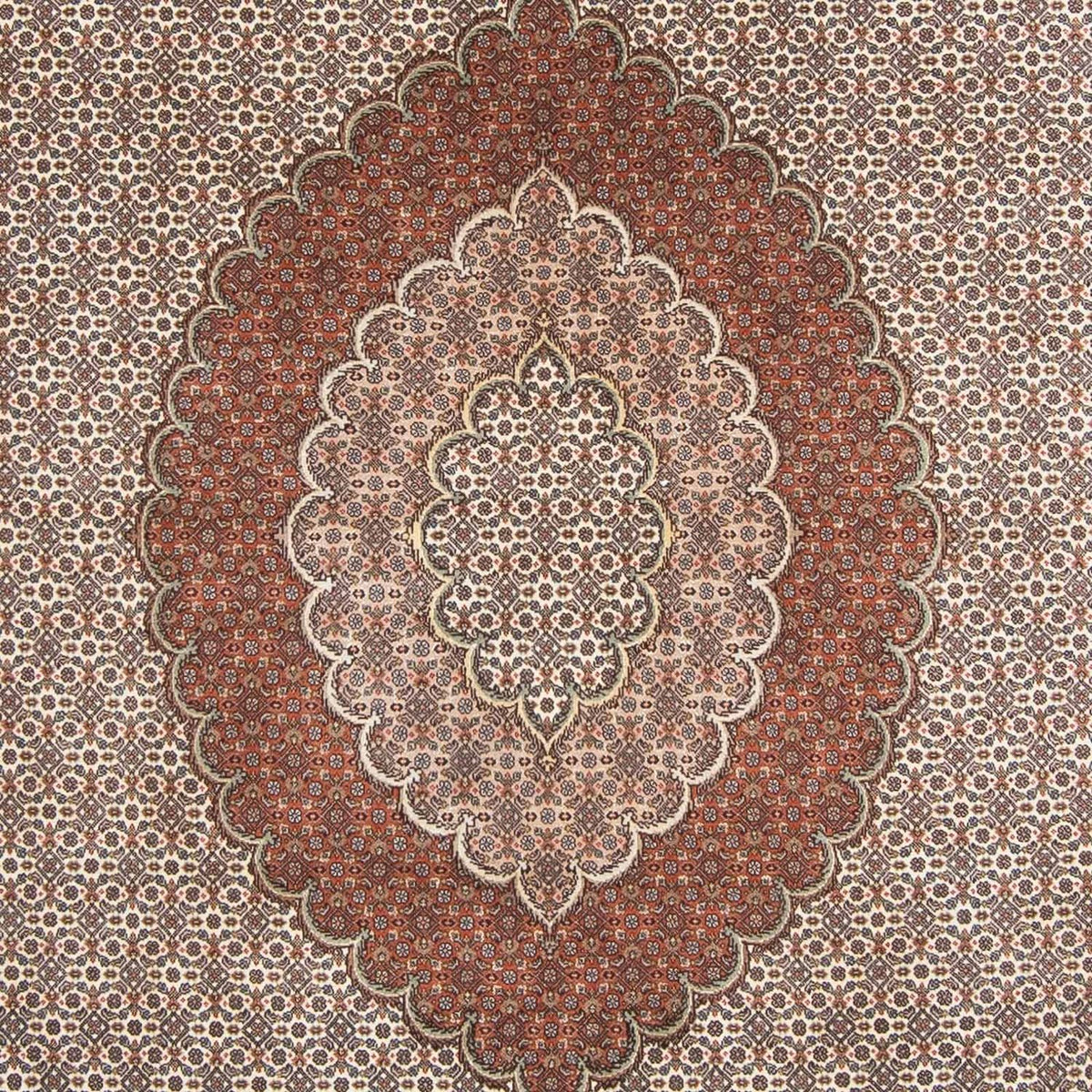 Tapis persan - Tabriz - 300 x 200 cm - marron clair