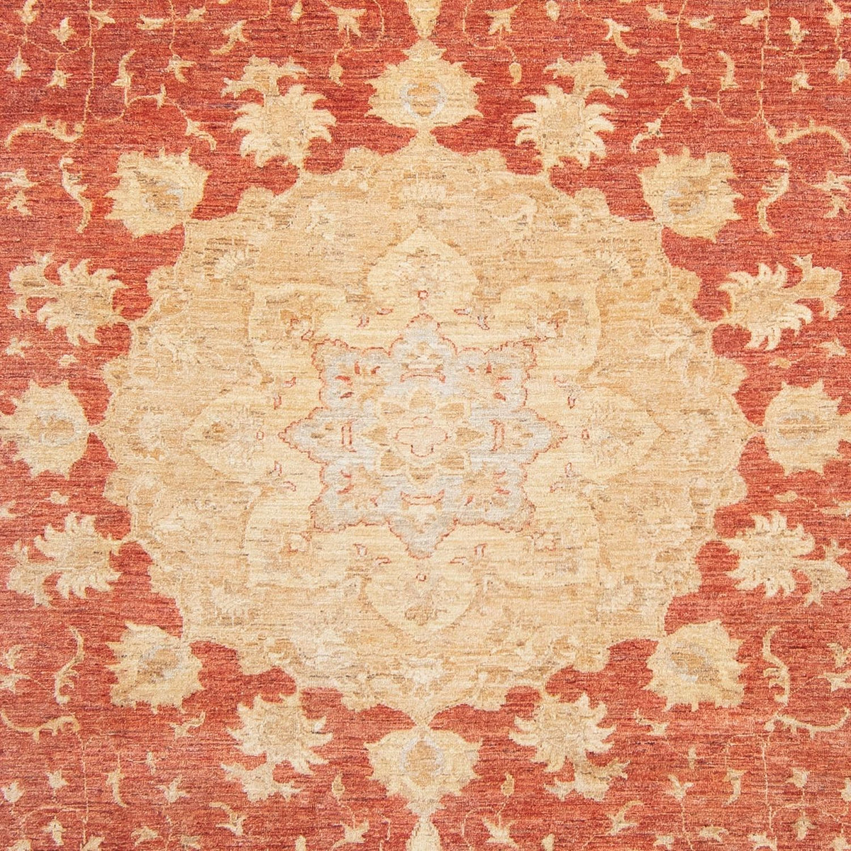 Tapis Ziegler - 355 x 271 cm - rouge clair
