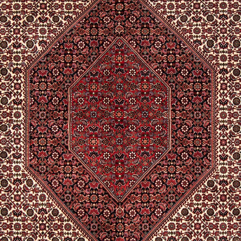 Tapis persan - Bidjar - 251 x 171 cm - rouge foncé