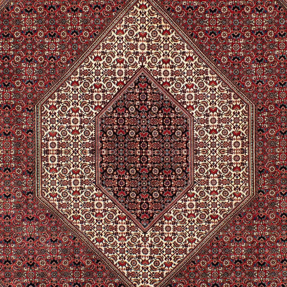 Tapis persan - Bidjar - 305 x 203 cm - rouge foncé